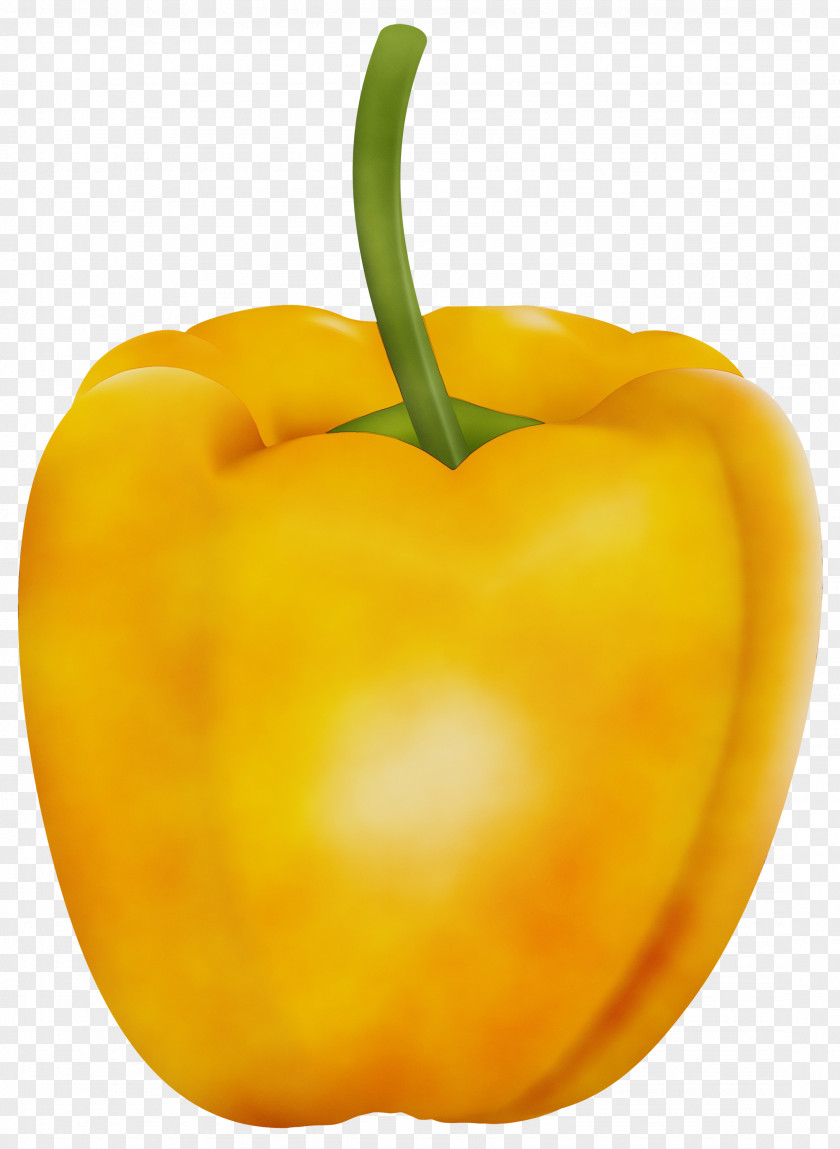 Orange Pimiento PNG