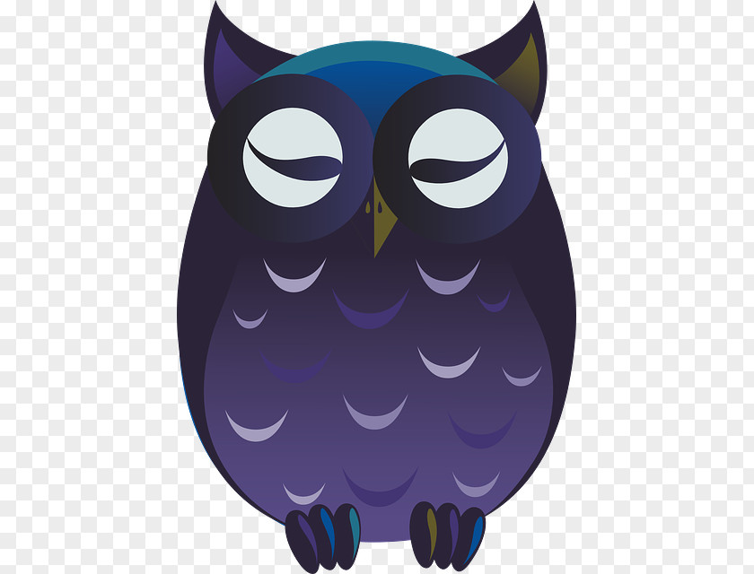 Owl Bird Clip Art Image Cartoon PNG