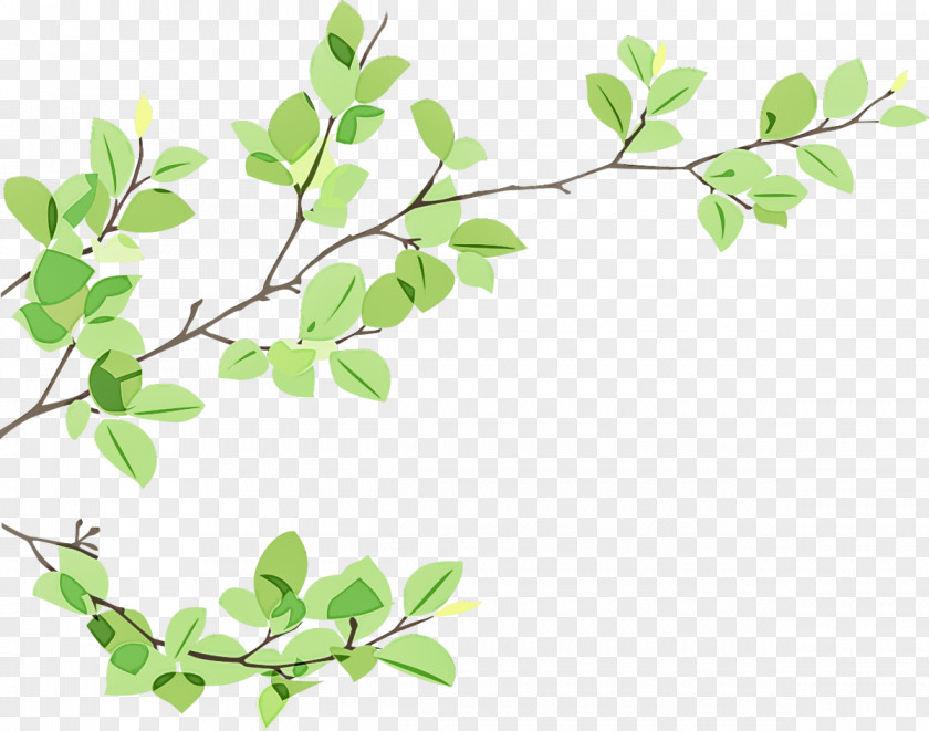 Plant Stem Twig Flower Leaf Branch Tree PNG