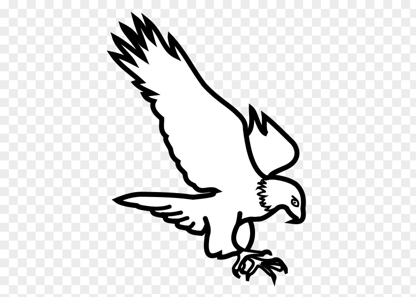 Rug Bird Eagle Inkscape PNG