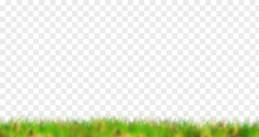 Computer Crop Lawn Grassland Green Grasses PNG