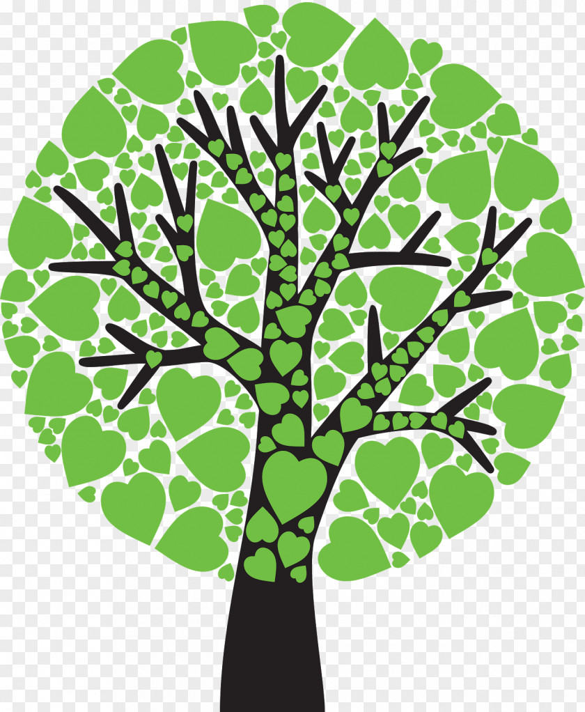 Family Tree Fruit PNG