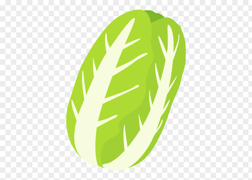 Logo Clip Art Font Vegetable Product Design PNG
