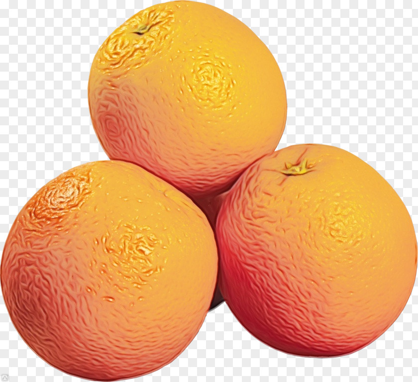 Mandarin Orange Vegetarian Food Fruit Cartoon PNG
