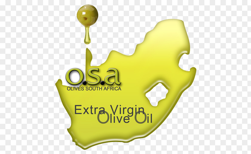 Olive South Africa Fruit Graphic Designer PNG