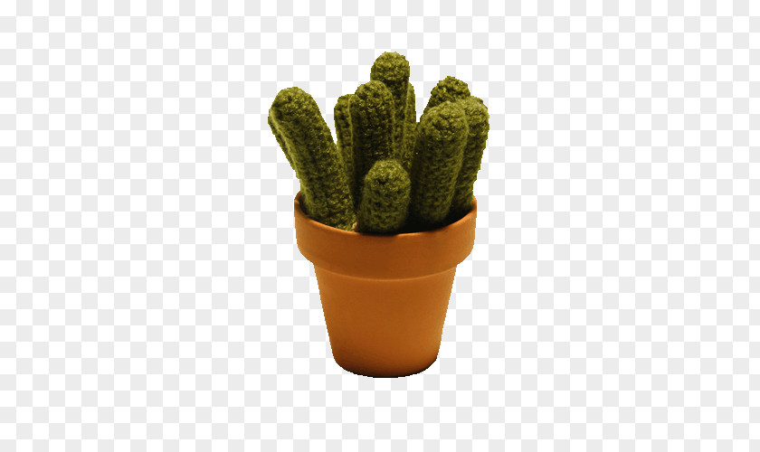 Prickly Pear Cactaceae Echinopsis Oxygona Crochet Icon PNG