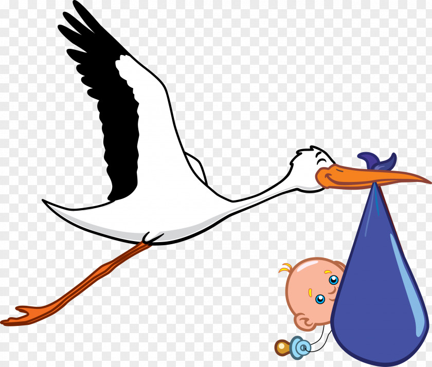 Stork Ciconia Wedding Invitation Infant Clip Art PNG