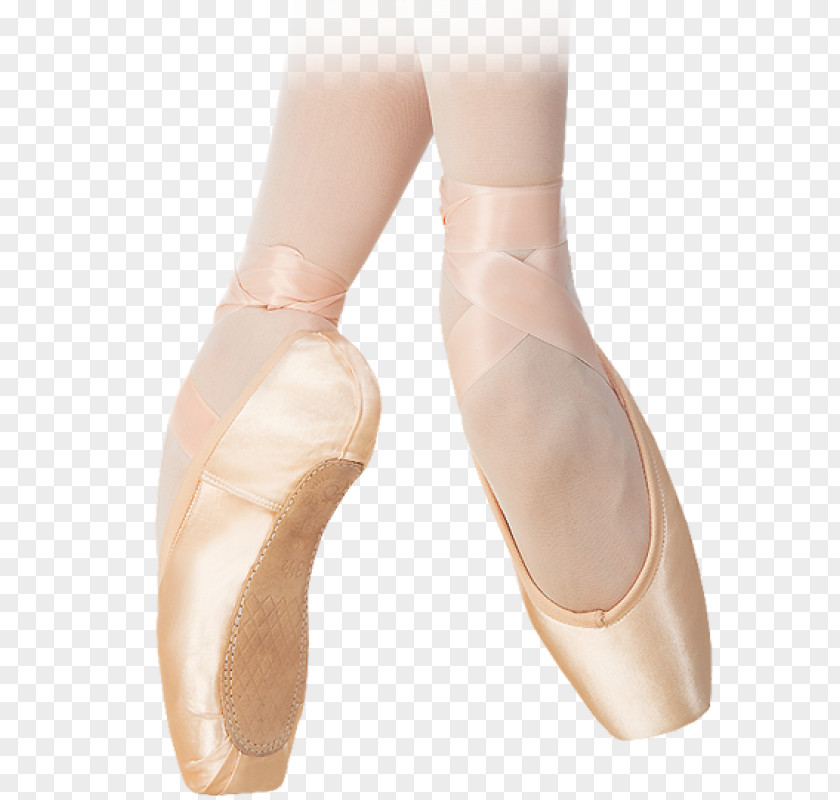 Ballet Slipper Pointe Shoe Technique PNG