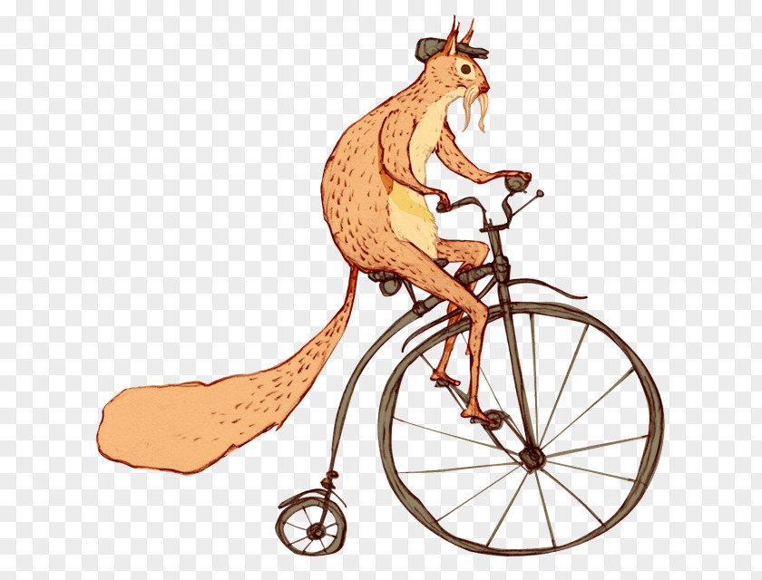 Bicycle Mammal Clip Art PNG