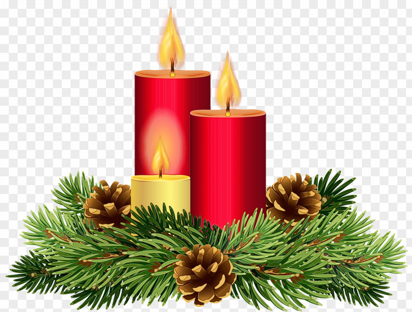 Christmas Eve Pine Decoration PNG
