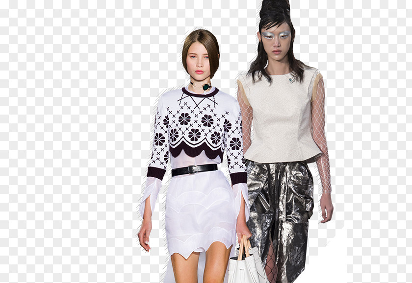 Fashion Show Christian Dior SE Blouse Model PNG show Model, clear vision clipart PNG