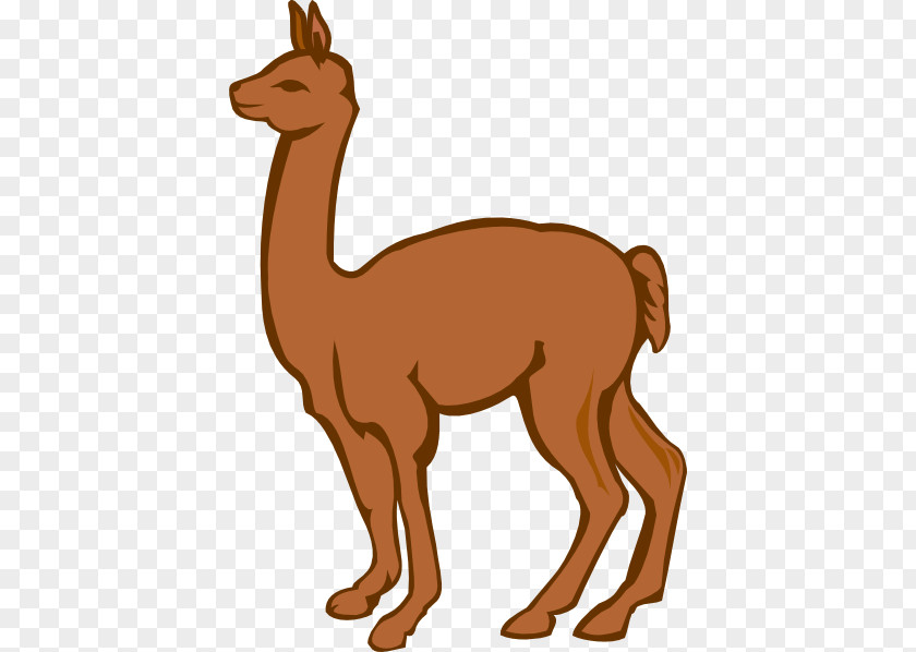 Llama Cliparts Alpaca Cartoon Clip Art PNG