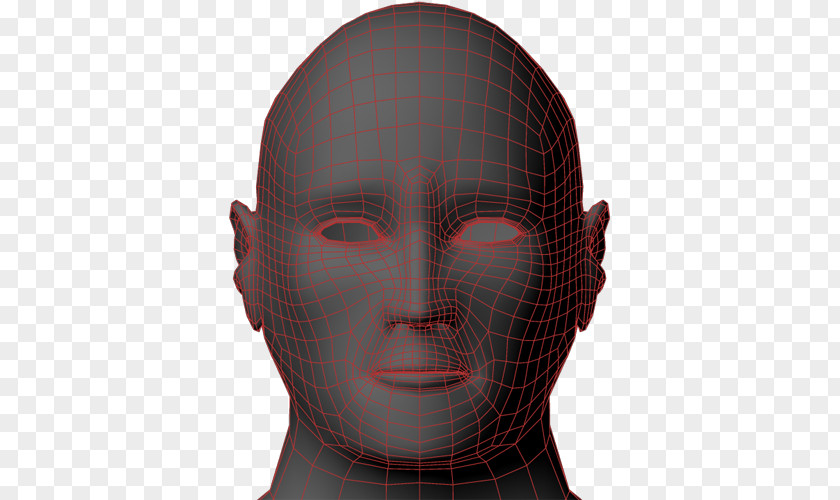 Low Poly Topology Stockholm University 3D Computer Graphics Forehead PNG