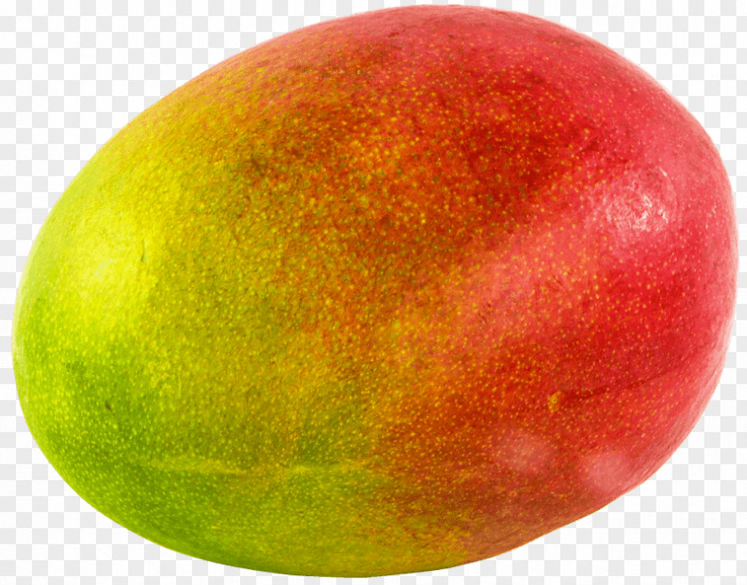 Mango Salsa Fruit PNG