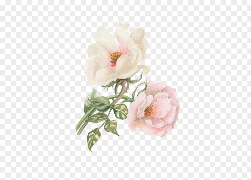 Peony Watercolor: Flowers Watercolour Garden Roses Watercolor Painting PNG