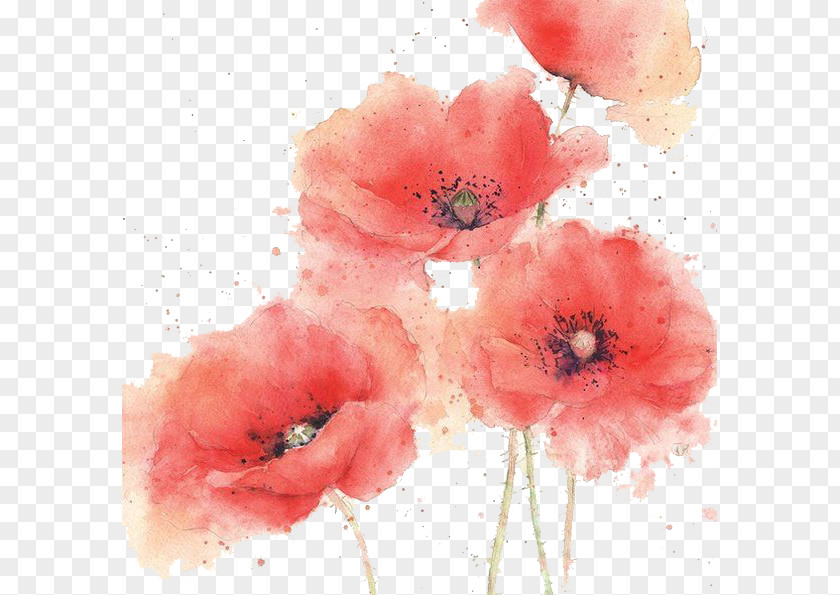 Watercolor Flowers Painting Painter PNG