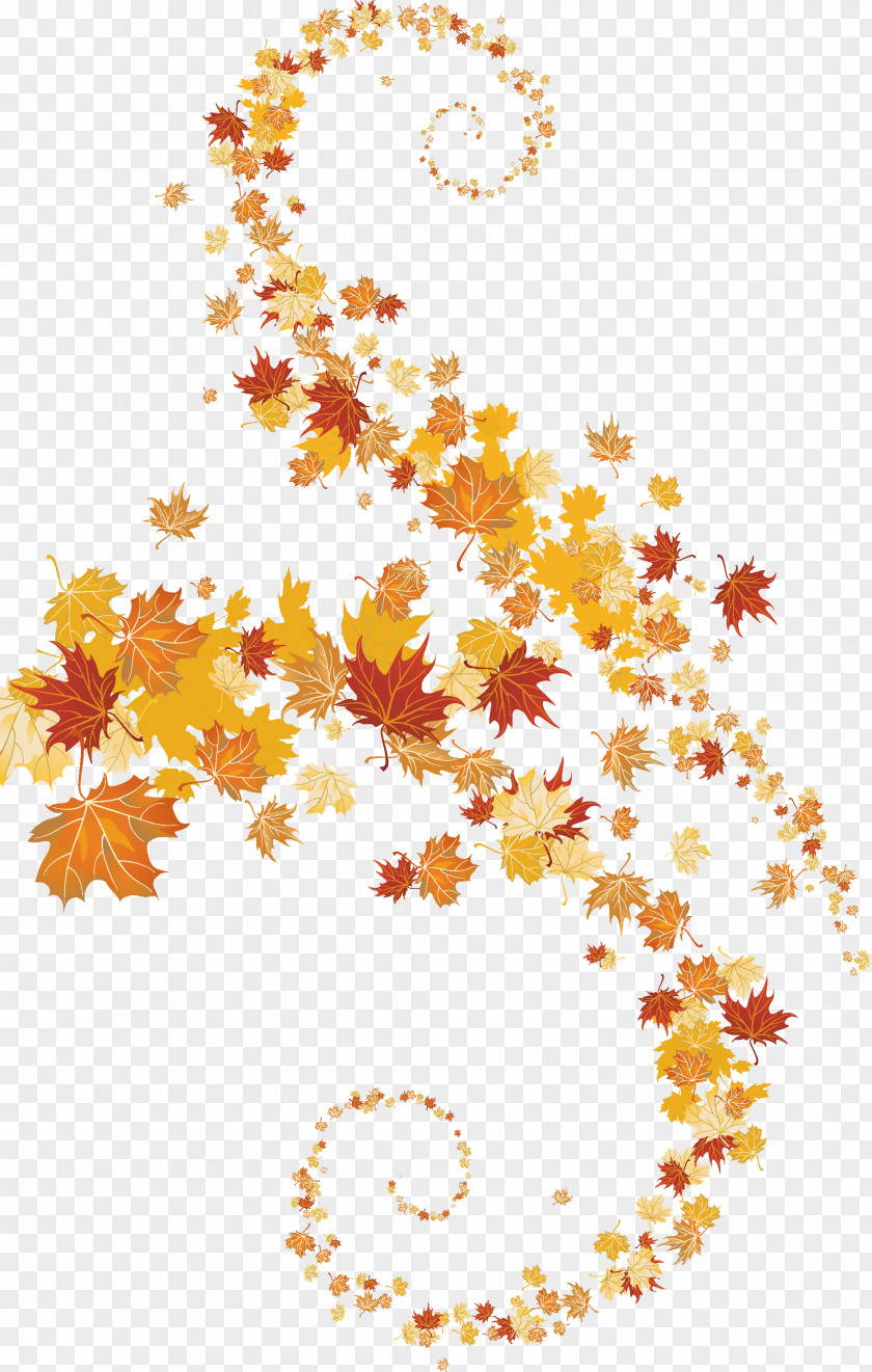 Autumn Leaves Clip Art PNG
