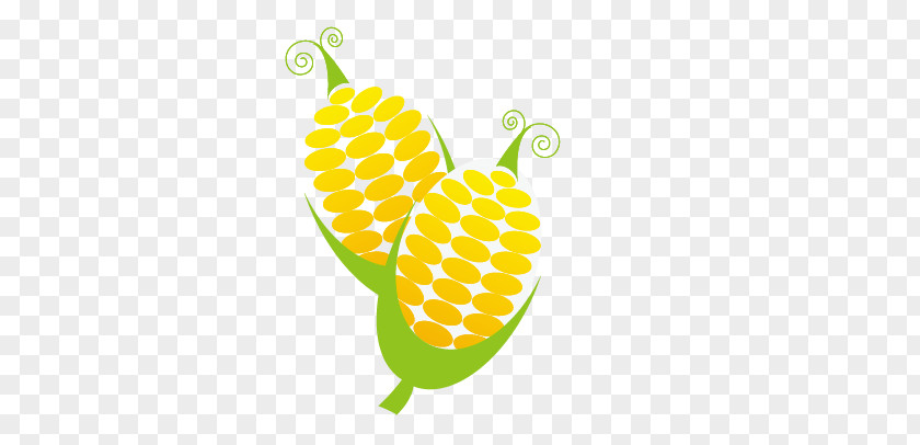 Corn Euclidean Vector Vegetable Fruit Food PNG