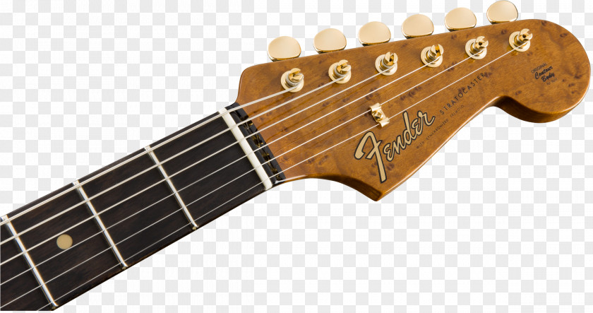 Guitar Fender Musical Instruments Corporation Alkaline Trio Malibu Acoustic Stratocaster PNG