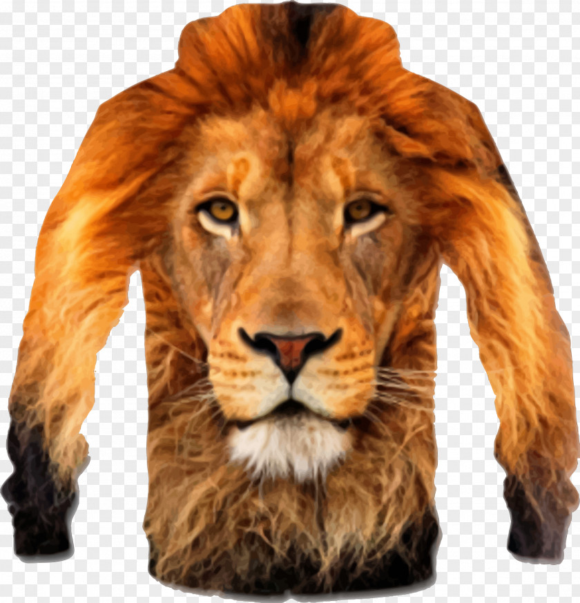 Lion Desktop Wallpaper Wildlife Cat Clip Art PNG
