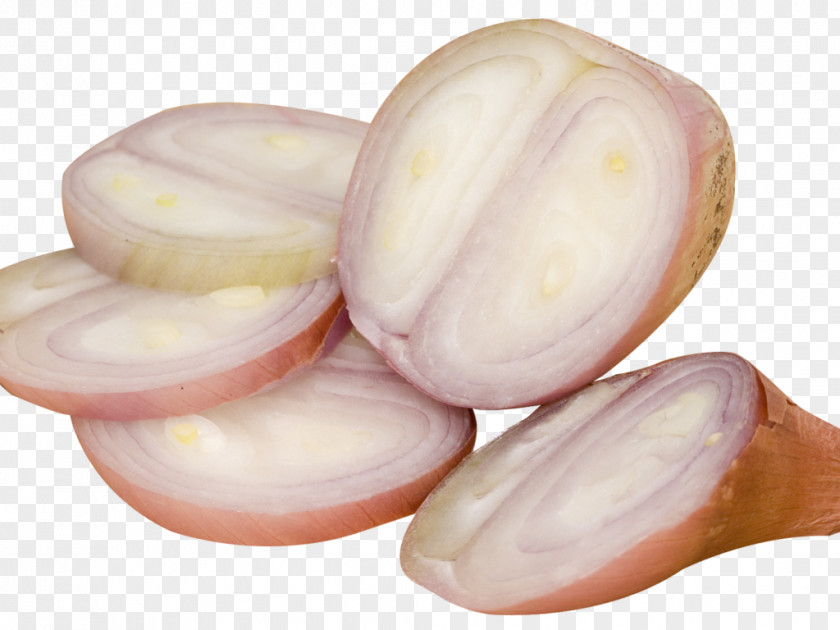 Vegetable Shallot Image Stock Photography PNG