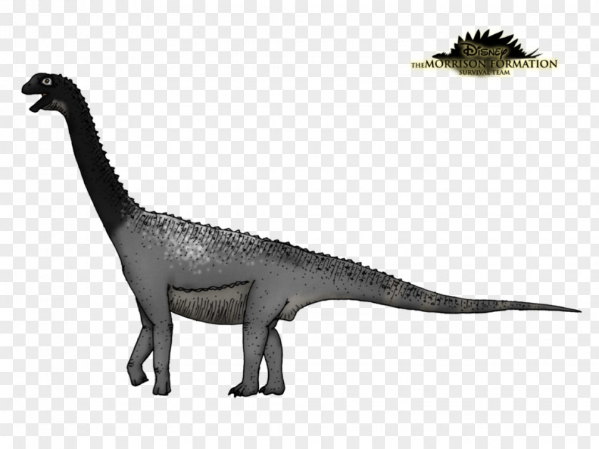 Velociraptor Tyrannosaurus Fauna Wildlife Animal PNG