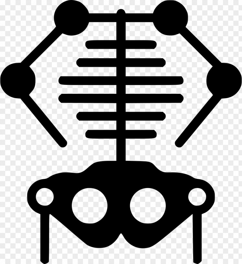 Skeleton Free Icons Medicine Health Care PNG