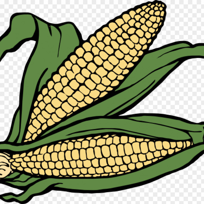 Sweet Corn Clip Art On The Cob Maize Image PNG