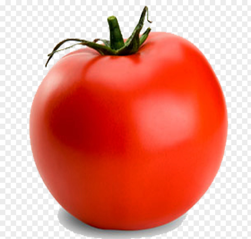 Verdura Tomato Vegetable Fruits Et Légumes Lycopersicon PNG