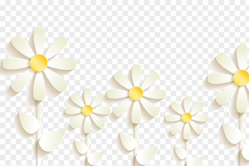 White Embossed Three-dimensional Flowers PNG