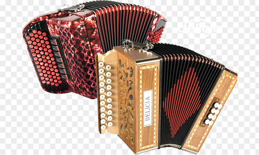 Accordion Trikiti Garmon Diatonic Button Squeezebox PNG