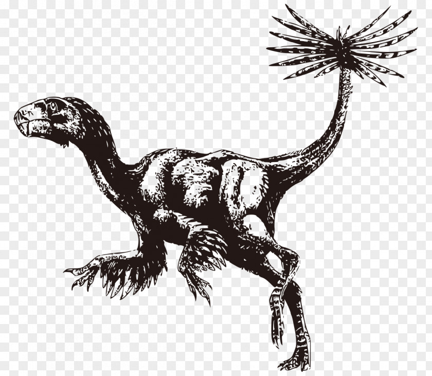 Ancient Animal Dinosaur Hand-drawn Black And White Horror Caudipteryx Oviraptor Bird Therizinosaurus PNG