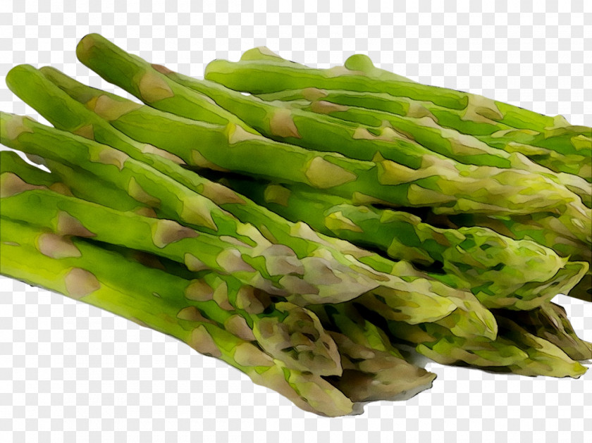 Asparagus Vegetarian Cuisine Vegetable Schnitzel Beslenme PNG