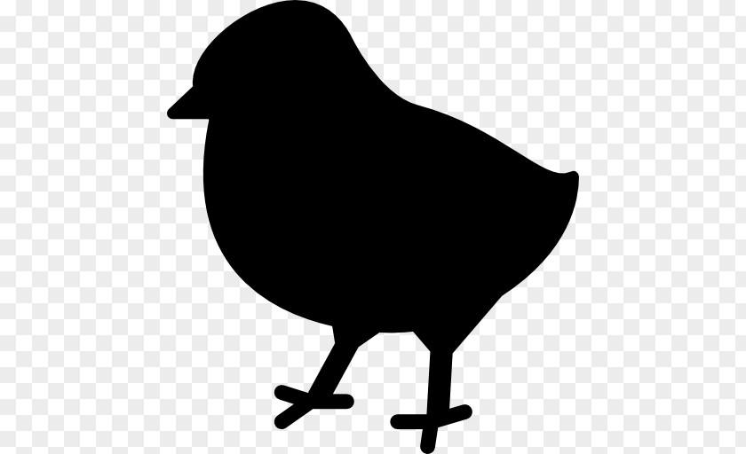 Chickens Vector PNG