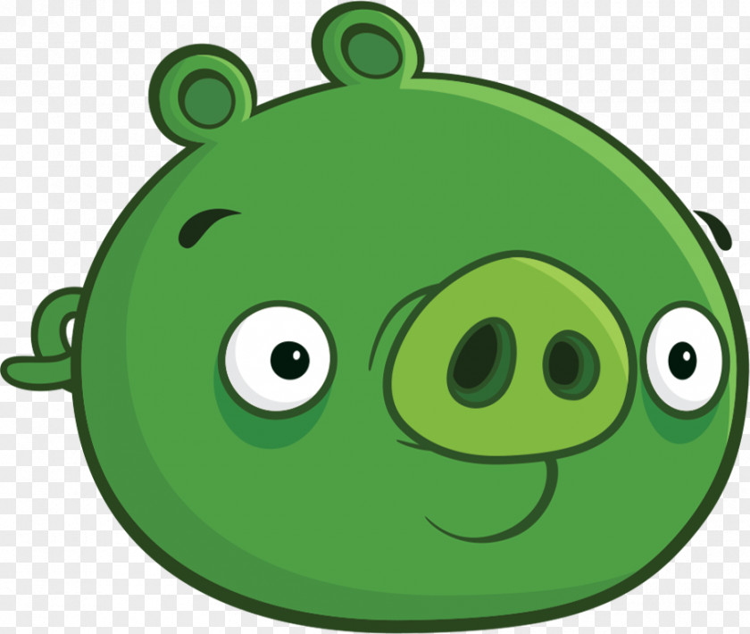 Pig Bad Piggies Angry Birds Epic Go! 2 PNG