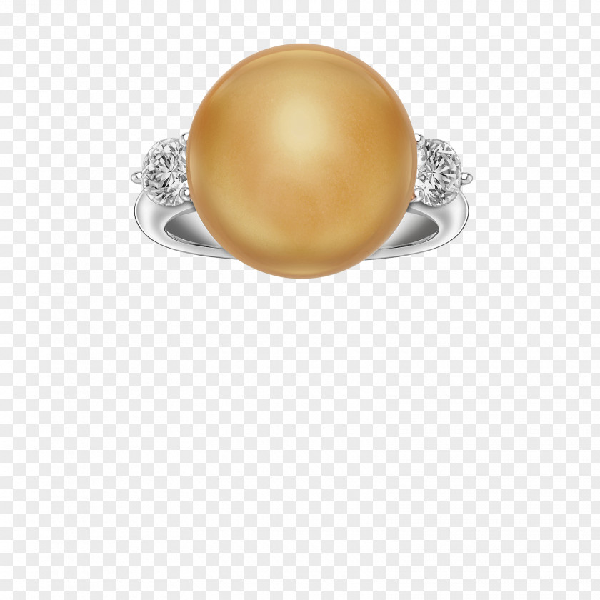 Silver Body Jewellery PNG