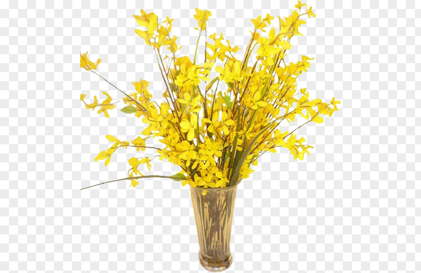 Vase Cut Flowers Floral Design Forsythia PNG