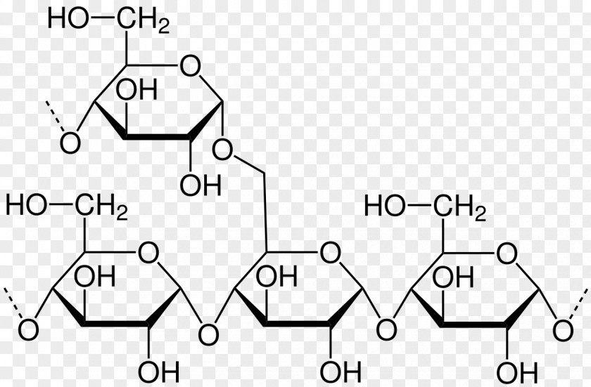 673 Amylopectin Haworth Projection Starch Amylose Polysaccharide PNG