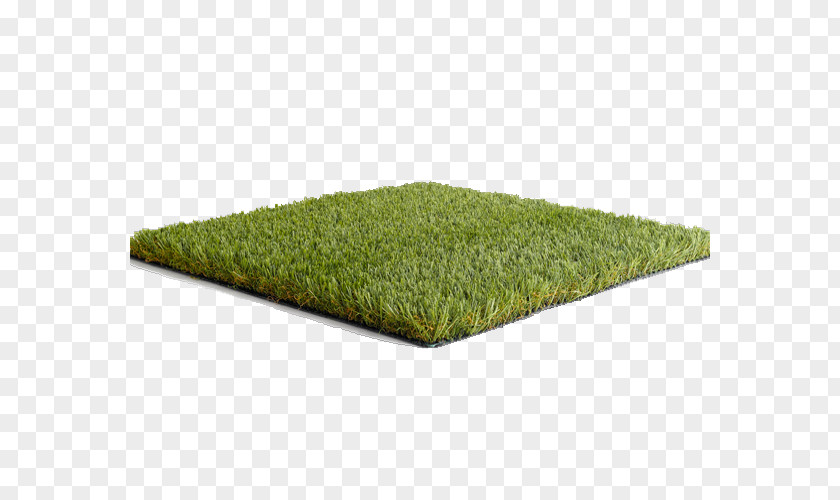 Artificial Turf Lawn Mowers Garden Namgrass UK PNG
