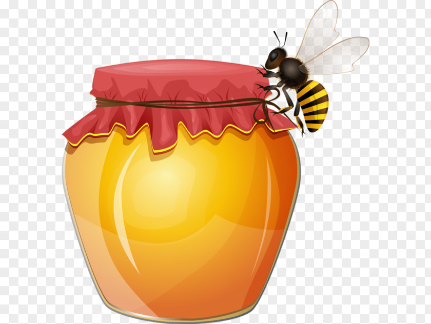 Bee Honey Clip Art Honeycomb PNG