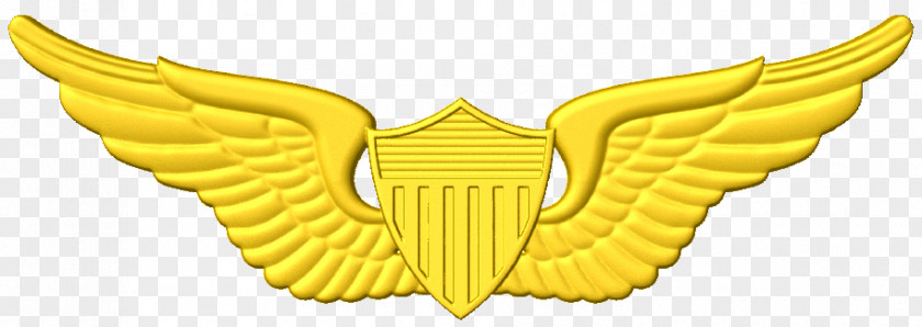 Cnc Army Aviation Wings United States Astronaut Badge Aviator Clip Art Of America PNG