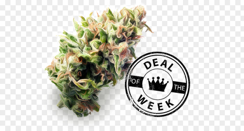 Deal Of The Week Flower Clutch Cannabis Herbn Elements Plants Mobile Phones PNG