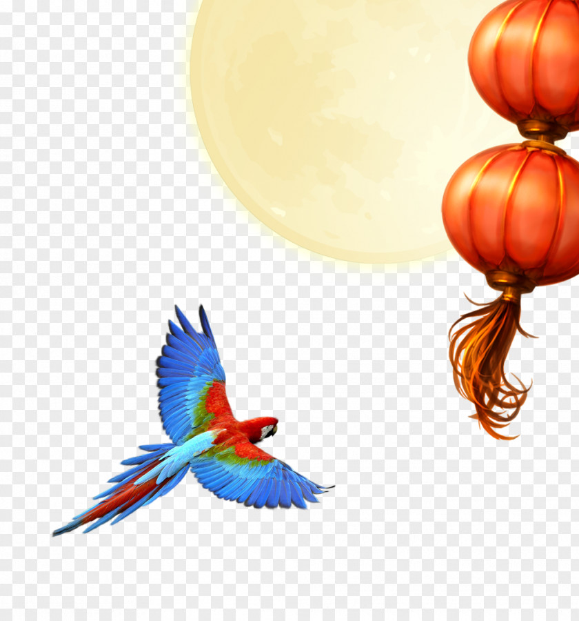Peacock Flying South Parrot Download Clip Art PNG