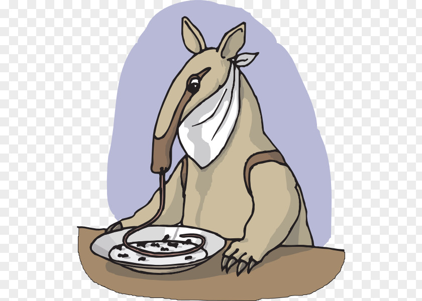 Anteater Cliparts Giant Eating Clip Art PNG