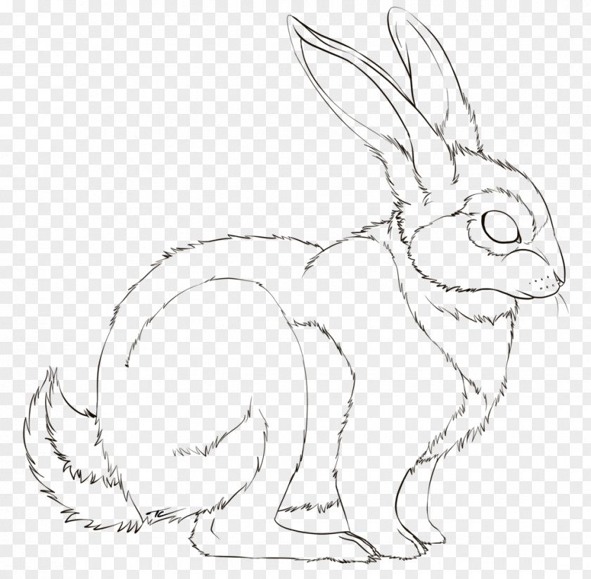 Rabbit Line Art Domestic Drawing Hare DeviantArt PNG
