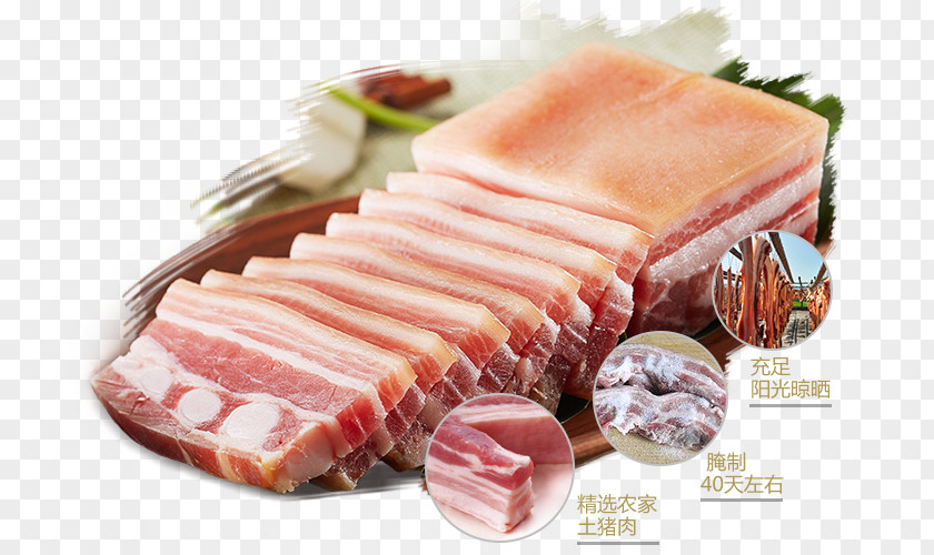 Creative Bacon Sausage Back Ham Food PNG