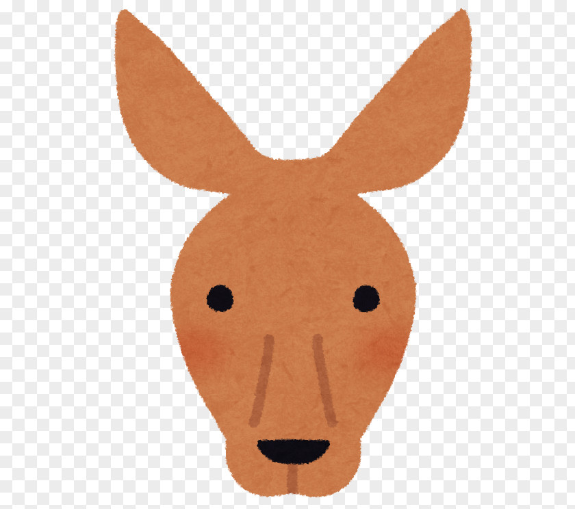 Face Snout Macropods Illustration Nose PNG