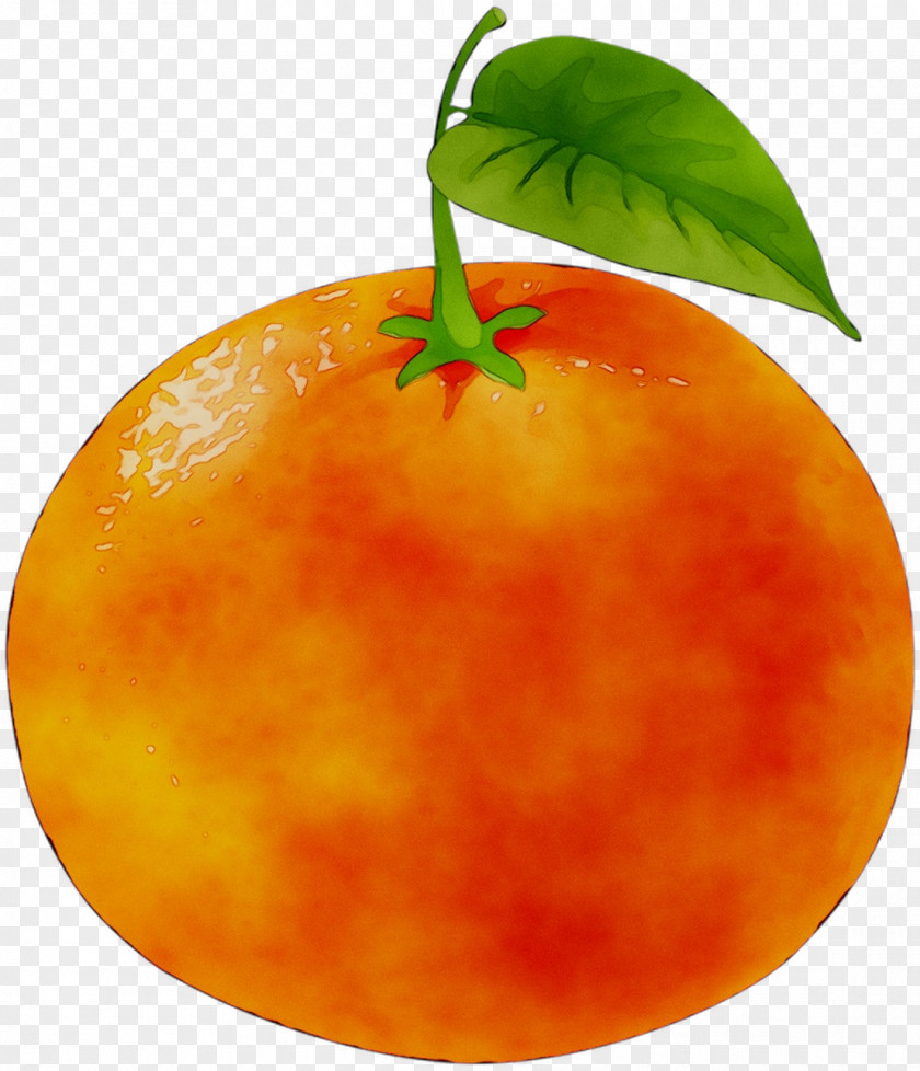Tangerine Mandarin Orange Grapefruit Food PNG