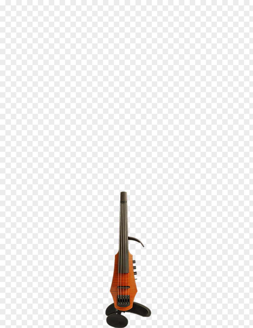 Violin Family Bass Guitar Electric Upright Instrument PNG