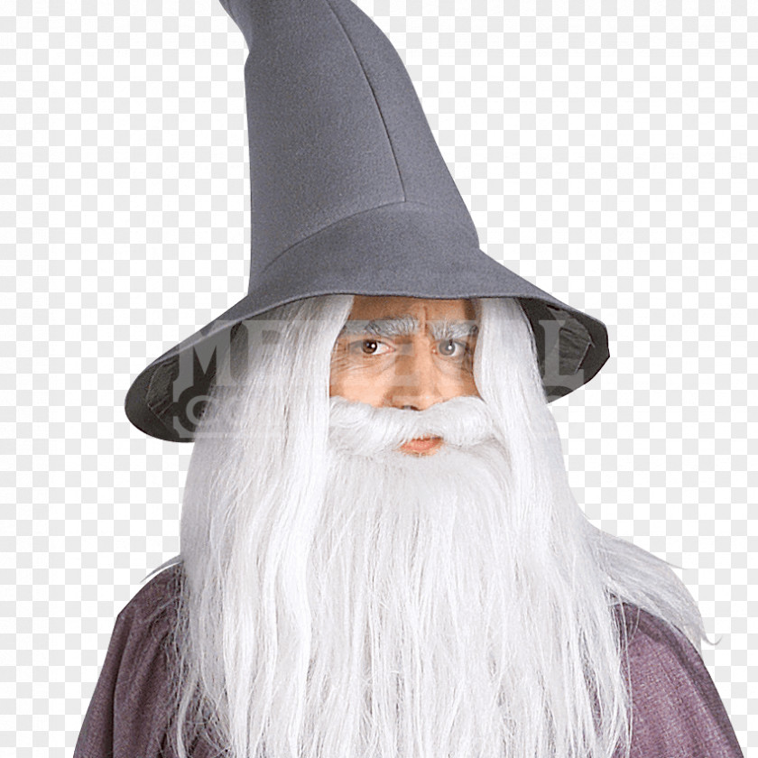 Wizard Gandalf The Lord Of Rings: Fellowship Ring Legolas PNG